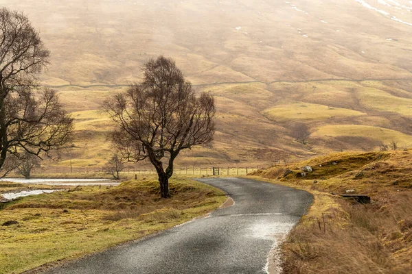 Forbløffende Panorama Utsikt Skotsk Landskap Høylandet Scotla – stockfoto