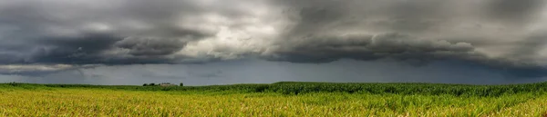 Dramatic view of a shelf cloud over a field, horizontal cloud fo