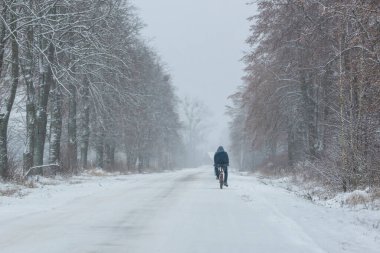Kış yolunda bisiklet, karla kaplı ağaçlar ve yollar, Podlasie Polonya