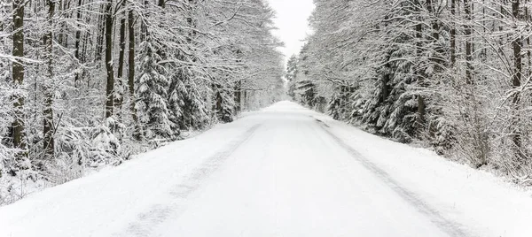 Winter Road Snow Coverd Trees Roads Podlasie Poland — Stock Photo, Image