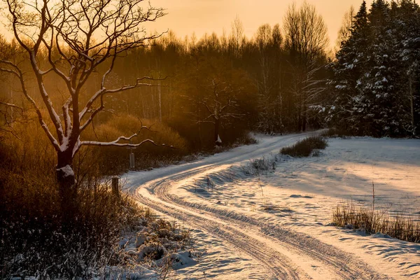 Snow Coverd Frozen Fields Meadows Eastern Poland Beautifu — Stock Photo, Image