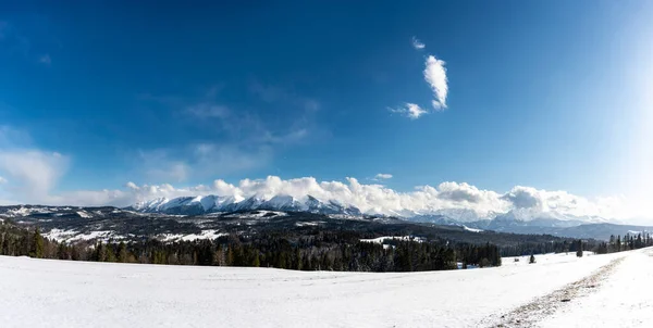 Bellissimo Panorama Paesaggistico Invernale Monti Tatra Vista — Foto Stock