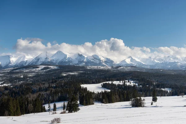 Hermoso Panorama Del Paisaje Invernal Vista Las Montañas Tatra Desde —  Fotos de Stock