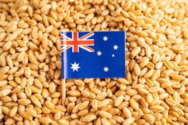 Avustralya bayrağı buğday ve tahıl kulaklı tarım ve organik çiftlik