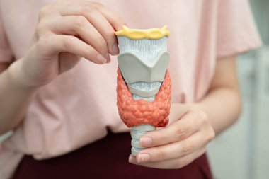 Hipertiroidizm, aşırı aktif tiroid, tiroid lenfoma, tiroid bezi insan anatomisi olan Asyalı kadın..