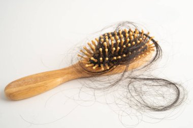 Tarak fırçasıyla beyaz arkaplanda saç kaybı.