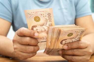 Tayland baht banknotları, yatırım ekonomisi, muhasebe ve bankacılık.