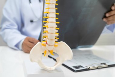 Doktor omurga röntgen filmini inceliyor..