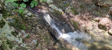 Dar bir şelalenin dikey yakın görüntüsü, yemyeşil bir ormandaki karanlık yosunlu kaya duvarından aşağı dökülüyor. Su, pürüzlü kayaların üzerinden akar ve kayalık boyunca beyaz köpük ve ıslak çizgiler yaratır.