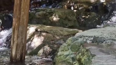 Kıbrıs geçidinde akan suyla birlikte sığ bir akıntıya paralel giden asfalt bir kayanın videosu, yosunlu kayalar, bir ağaç gövdesi ve benekli güneş ışığı, yürüyüş macerası için ideal.