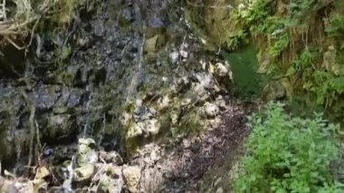 Koyu taş duvarlar ve yeşilliklerle çevrili dar bir Kıbrıs geçidinde yosun kaplı kayalardan aşağı yuvarlanan beyaz su şelalesinin videosu, ham doğal enerji ve dingin dağ gücünü somutlaştırıyor.