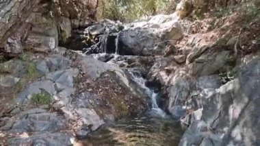Kıbrıs dağ geçidinde yoğun yeşil ağaçlar ve kayalarla çevrili dik yosunlu kayalık bir kayadan aşağı yuvarlanan güçlü bir şelalenin videosu, macera yolculuğu için ideal.