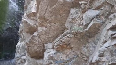 İnce bir şelalenin, yosunlu bir kaya yüzeyinden Kıbrıs dağ geçidinde sakin bir havuza yuvarlanmasının, ham jeolojik güzelliğin ve ideal bir yürüyüş yapmanın görüntüsü.