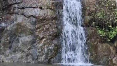 Yeşil yapraklar ve ağaçlarla çevrili yüksek yosun kaplı kayalıklardan akıp Kıbrıs dağ geçidinde kayalık bir dere yatağına akan ve el değmemiş doğal gücü ele geçiren çok sayıda ince şelalenin videosu.