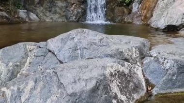 Yeşil yapraklar ve ağaçlarla çevrili yüksek yosun kaplı kayalıklardan akıp Kıbrıs dağ geçidinde kayalık bir dere yatağına akan ve el değmemiş doğal gücü ele geçiren çok sayıda ince şelalenin videosu.