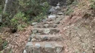 Bir Kıbrıs dağ geçidinde, sık yeşil çalıların ve ağaçların arasında damlayan bir dere kenarındaki orman yamacını saran düzensiz taş adımların videosu, otantik ve engebeli bir yürüyüş deneyimi sunuyor..