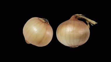 İki soğan soğanı siyah arkaplanda izole edilmiş..