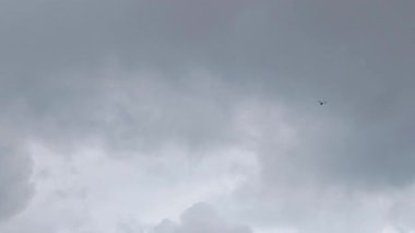 Koyu gri yağmur Kuşu yazın bulutlu gökyüzünde, uzak bulutlarda havada uçuyor..