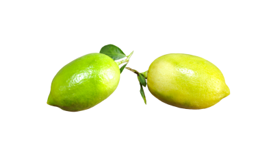 Şeffaf arkaplanda doğal limon meyvesi.