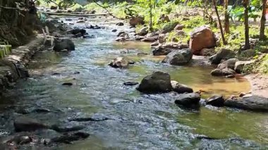 Hızlı akıntılı bir nehir. Büyük taşlar sudan sarkmış.. 