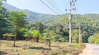 Yol boyunca giderken, her iki tarafta da ağaç manzarası vardı..