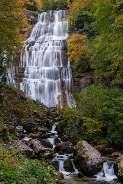 Cennet şelalesi ve havuzu olan güzel bir sonbahar ormanı.