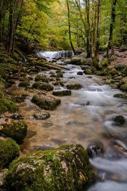 Sonbahar ormanlarında küçük şelaleleri olan güzel bir dağ deresi.