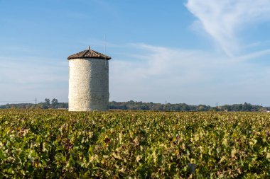 View of beautiful fall colors in the vineyards in Gironde near Bordeaux with an old water tower clipart