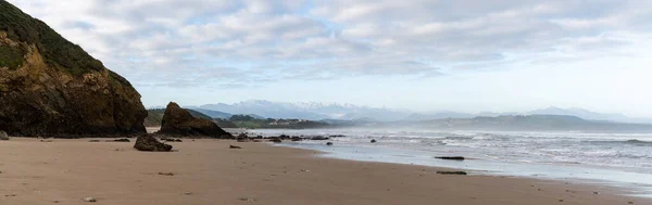 야생과 바위와 해변의 — 스톡 사진