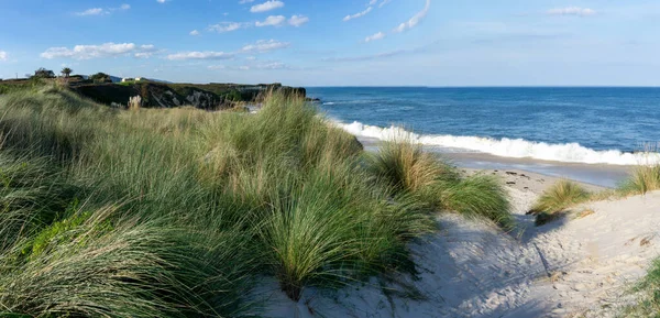 Strand Bejárata Mocsaras Füvön Homokdűnéken Egy Félreeső Homokos Strandra — Stock Fotó