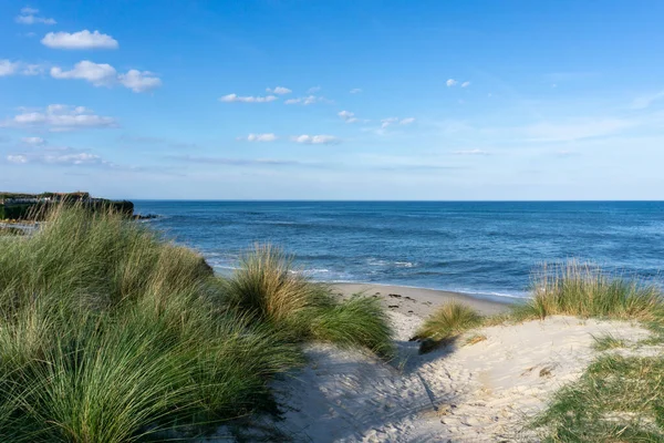 Strand Bejárata Mocsaras Füvön Homokdűnéken Egy Félreeső Homokos Strandra — Stock Fotó