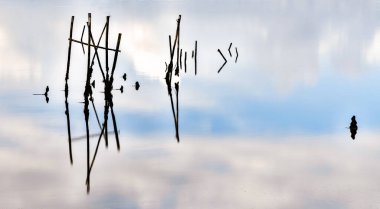 Sado Nehri Estuary 'deki Cais Palatifico' daki kırık eski rıhtım ve iskelelerin manzarası.