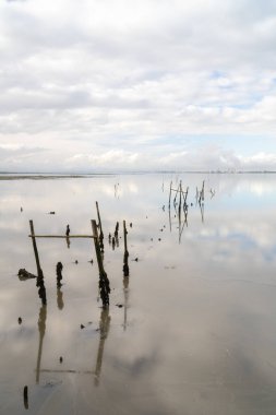 Sado Nehri Estuary 'deki Cais Palatifico' daki kırık eski rıhtım ve iskelelerin dikey görüntüsü