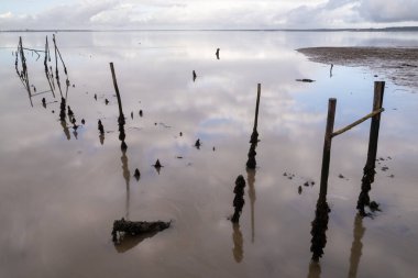 Sado Nehri Estuary 'deki Cais Palatifico' daki kırık eski rıhtım ve iskelelerin manzarası.