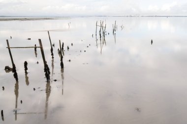 Sado Nehri Estuary 'deki Cais Palatifico' daki kırık eski rıhtım ve iskelelerin manzarası.