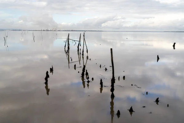 Una Vista Los Antiguos Muelles Rotos Muelles Cais Palatifico Estuario —  Fotos de Stock