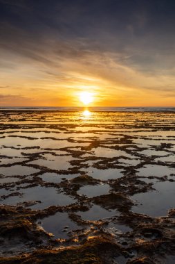 Okyanusun üzerinde kayalık plajlı ve ön planda gelgit havuzlu güzel bir gün batımının dikey görüntüsü.