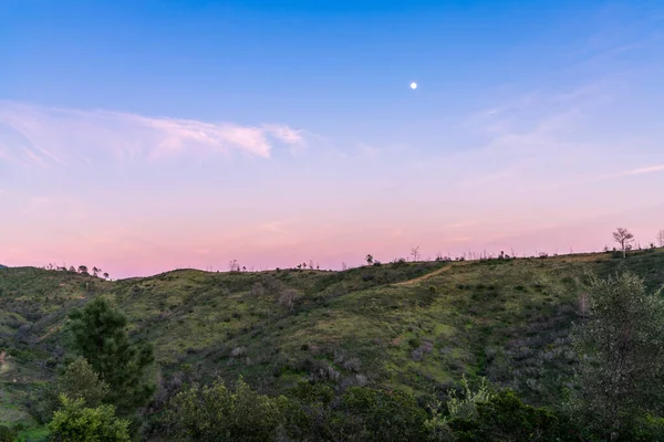 満月の日没の空の下で植生や木々と緑の丘の中腹のビュー — ストック写真