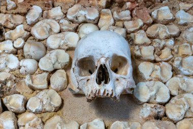 Faro, Portekiz - 31 Aralık 2020: Faro 'daki Kemik Şapeli' nde kafatasları ve kemikler