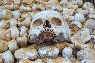 Faro, Portekiz - 31 Aralık 2020: Faro 'daki Kemik Şapeli' nde kafatasları ve kemikler