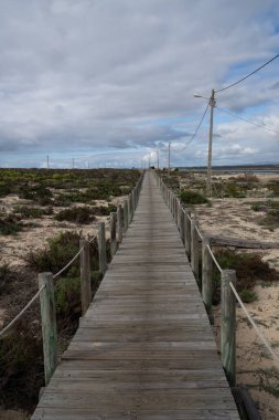 Algarve 'deki Ria Formosa Ulusal Parkı' nda sonu gelmeyen bir tahta kaldırım.