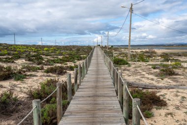Algarve 'deki Ria Formosa Ulusal Parkı' nda sonu gelmeyen bir tahta kaldırım.