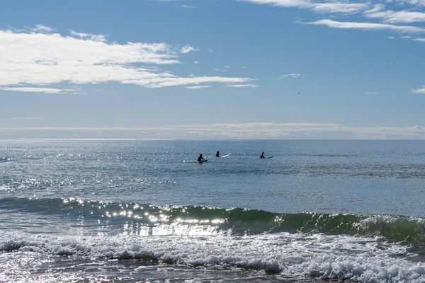 Drie Urfers Het Water Bij Faro Island Beach Aan Algarve — Stockfoto