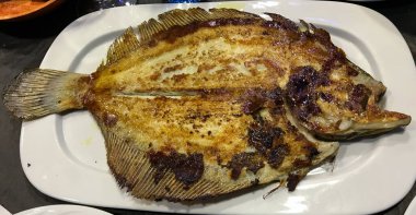 Büyük, taze ızgara bir pisi balığının sade beyaz bir tabakta otantik bir görüntüsü.