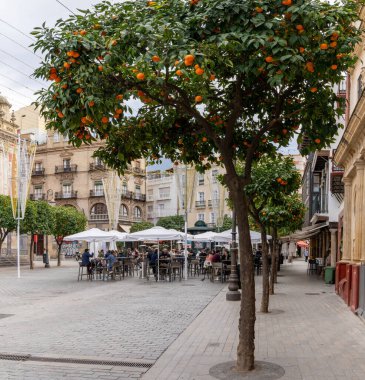 Seville, İspanya - 10 Ocak 2021: Sevilla 'daki birçok sokak kafesinden birinde içki ve tapas içen insanlar