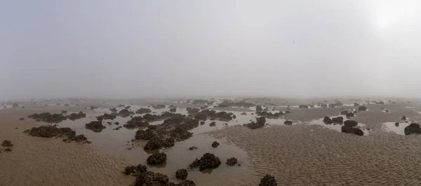 干潮時には果てしなく続く砂浜の上に濃い霧の風景 — ストック写真