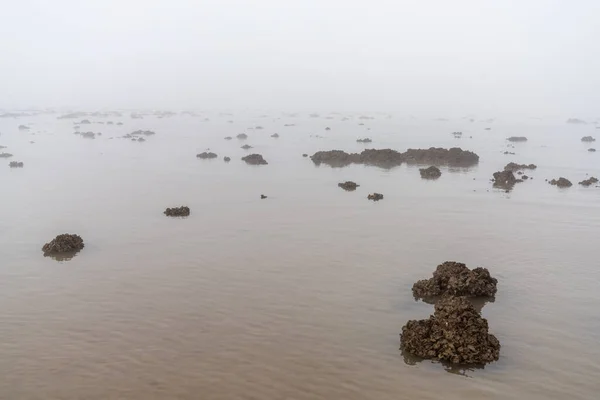 Eine Landschaft Aus Dichtem Nebel Über Endlosem Wattenmeerstrand Bei Ebbe — Stockfoto