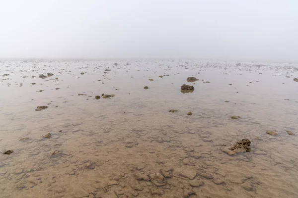 Ett Landskap Tjock Dimma Över Ändlös Vaggad Havsstrand Vid Lågvatten — Stockfoto