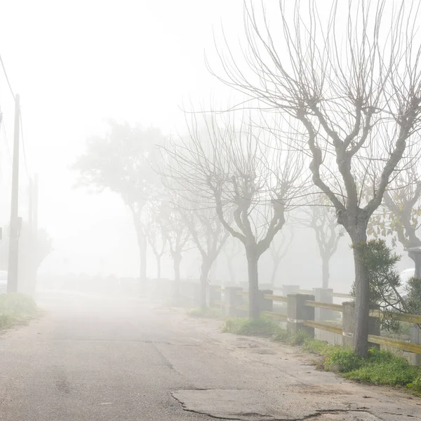 Brouillard Très Épais Gît Sur Une Route Campagne Asphaltée Fissurée — Photo
