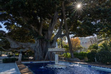 Cadiz 'deki Alameda Apodaca y del Marqes de Comillas Garden